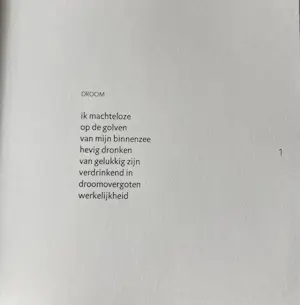 Willemien van Gurp - Loslaten kopen? Bied vanaf 20!