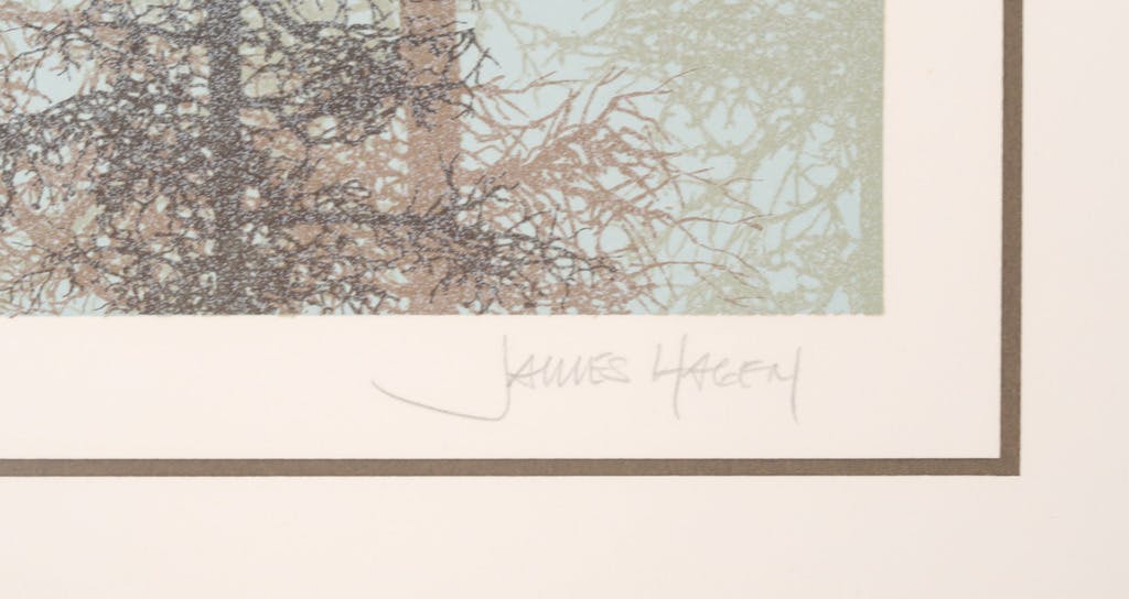 James Hagen - James Hagen: Zeefdruk, Ice Crystals kopen? Bied vanaf 1!