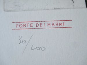 Willem Snitker - Grote Ets Forte dei Marmi kopen? Bied vanaf 50!