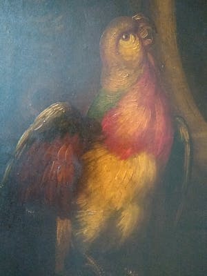 Niet of onleesbaar gesigneerd - Papegaai op een mand kopen? Bied vanaf 1!