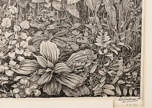 Dirk van Gelder - Fraai gedetailleerde -kleine oplage- Ets - veld met wilde bloemen - gesigneerd kopen? Bied vanaf 50!