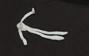 Bart Drost - Porseleinen figuur, Let's dance kopen? Bied vanaf 1!