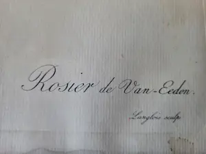 Pierre-Joseph Redoute - Rosa Gallica Purpurrea Velutina,Parva Rosier de Van Eeden kopen? Bied vanaf 20!