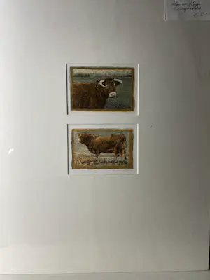 Han van Hagen - Stieren kopen? Bied vanaf 100!