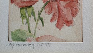 Arja van den Berg - ets: herfstrozen uit de tuin - 1984 kopen? Bied vanaf 49!