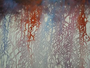 Niet of onleesbaar gesigneerd - Riccardo Cappello "Anatomical Roots'' 2019 kopen? Bied vanaf 10!