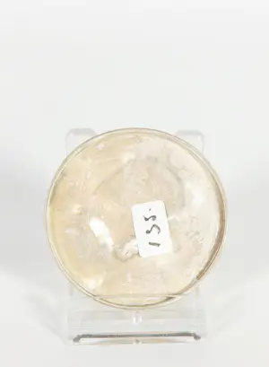 Menno Meijer - Zilveren Penning kopen? Bied vanaf 1!