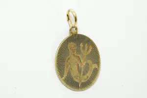 48 - 14 karaats geelgouden Vintage zodiac hanger met afbeelding van een waterman kopen? Bied vanaf 180!