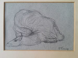 Jan Koning - Dromedaris. kopen? Bied vanaf 10!