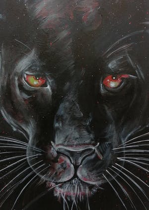 Niet of onleesbaar gesigneerd - Zwarte Panter kopen? Bied vanaf 1!