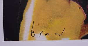 Herman Brood - Grote zeefdruk: Torso (laatste exemplaar) kopen? Bied vanaf 395!