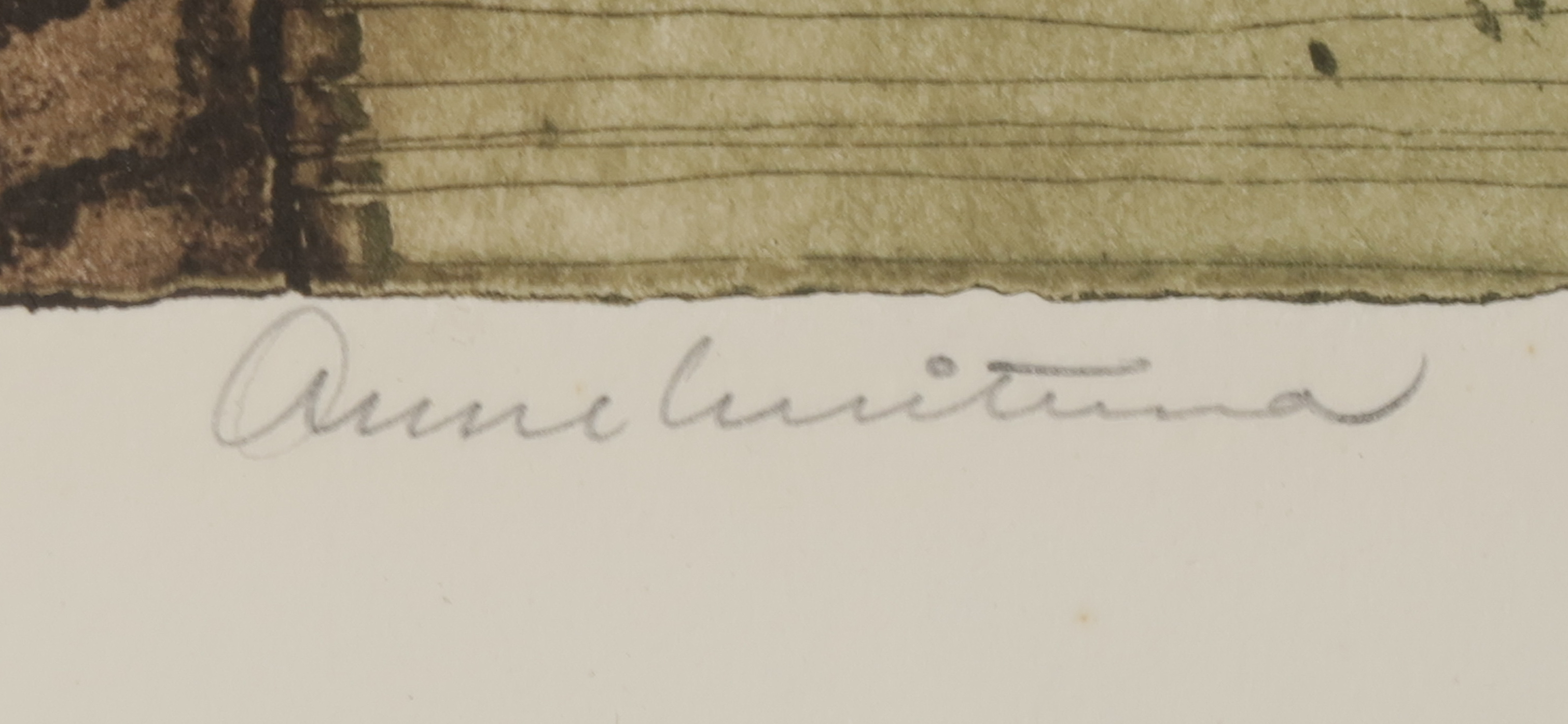 Anne Huitema - Ets en aquatint, Noord Wales kopen? Bied vanaf 1!