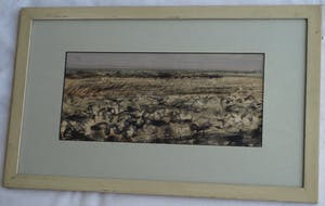 Wim Steijn - Tekening pastelkrijt , “Landschap” – gesigneerd & ingelijst – ca 1970 kopen? Bied vanaf 40!