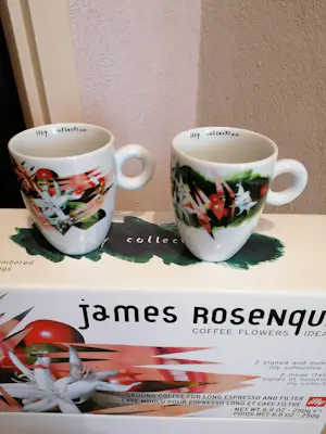 illy Art Collection - Illy art collection 2003 James Rosenquist coffee flowers kopen? Bied vanaf 50!