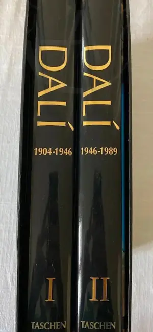 Salvador Dali - Das malerische Werk. Complete ouvre in 2 cassettes. kopen? Bied vanaf 40!