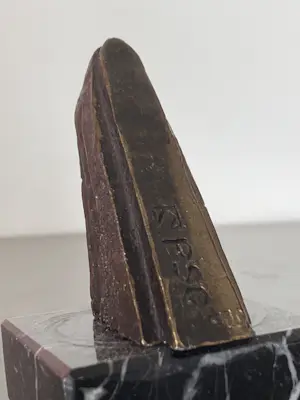 Corry Ammerlaan - Wind bride kopen? Bied vanaf 49!