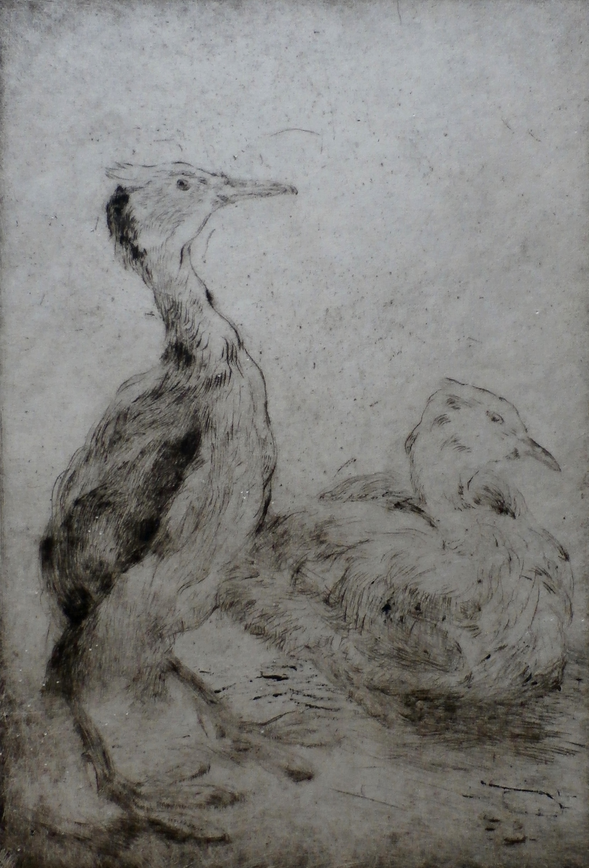 Frederika Broeksmit - ets: dieren verkocht voor € 45!