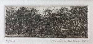 Simon Koene - Tropisch oerwoud met hut en krokodil kopen? Bied vanaf 10!