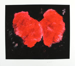 Armando - Kleurengiclee FLUGEL Handgesigneerd / GROOT! kopen? Bied vanaf 169!