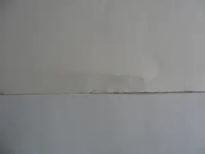 Bernard Charoy - Litho, Dame met de witte jurk kopen? Bied vanaf 35!