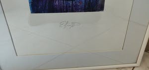 Ernst Fuchs - Frau . kopen? Bied vanaf 45!