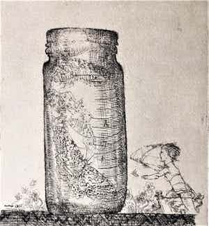 Simon Koene - Vlinders vangen verkocht voor € 25!