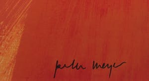 Peter Meijer - Zeefdruk, Pascalle - Ingelijst (Groot) kopen? Bied vanaf 50!