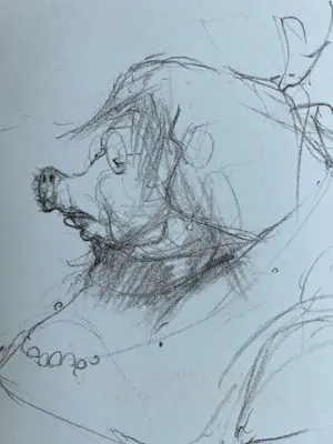 Dirkje Kuik - handgesigneerde litho | 'Varken' | jaren '70 kopen? Bied vanaf 60!