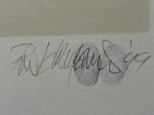 Fon Klement - FLEUR DE L' ALP. kopen? Bied vanaf 150!