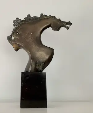 Doko Dokov - Paarden hoofd kopen? Bied vanaf 700!