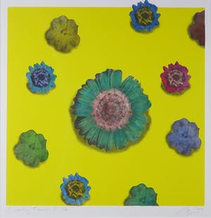 Arjan van Arendonk - Zeefdruk, Floating flowers II - Ingelijst kopen? Bied vanaf 35!