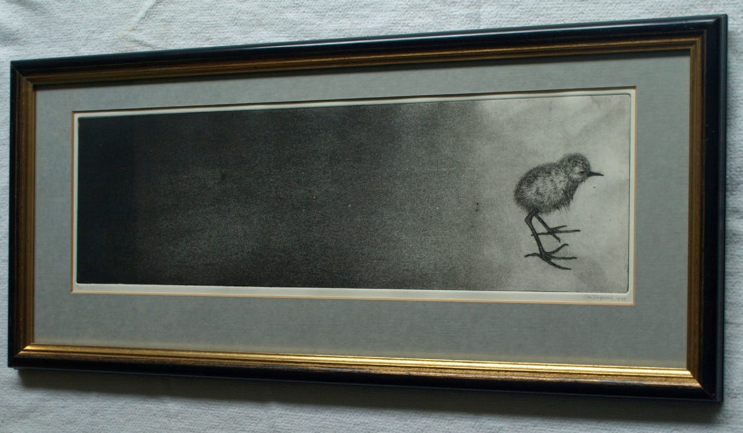 Uto Hogerzeil - Ingelijste ets en aquatint , Jonge Grutto (?) – 1979 – Lijst, 28 x 63 cm. kopen? Bied vanaf 80!
