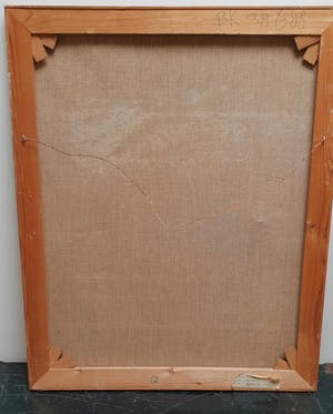 Leen Kriens - Overvloed kopen? Bied vanaf 50!