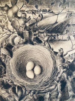 Court Veldkamp - landschap kopen? Bied vanaf 35!