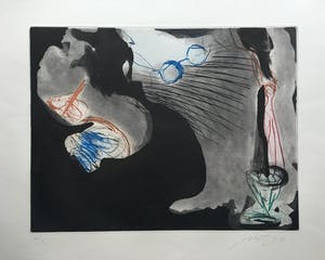 Ger Lataster - grote kleurenets uit 1989 - oplage X kopen? Bied vanaf 95!