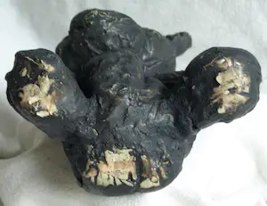 Niet of onleesbaar gesigneerd - Keramiek / Steen , Beer / Teddybeer kopen? Bied vanaf 1!