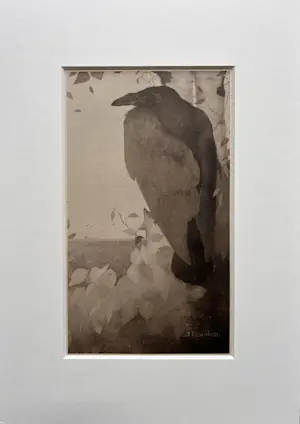 Jan Mankes - Originele Heliogravure Raaf in Berkenboom 1923 kopen? Bied vanaf 165!