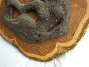 Klaas Pijlman - Liggend naakt – Chamotte / Aardewerk op hout – ca 1979 kopen? Bied vanaf 50!