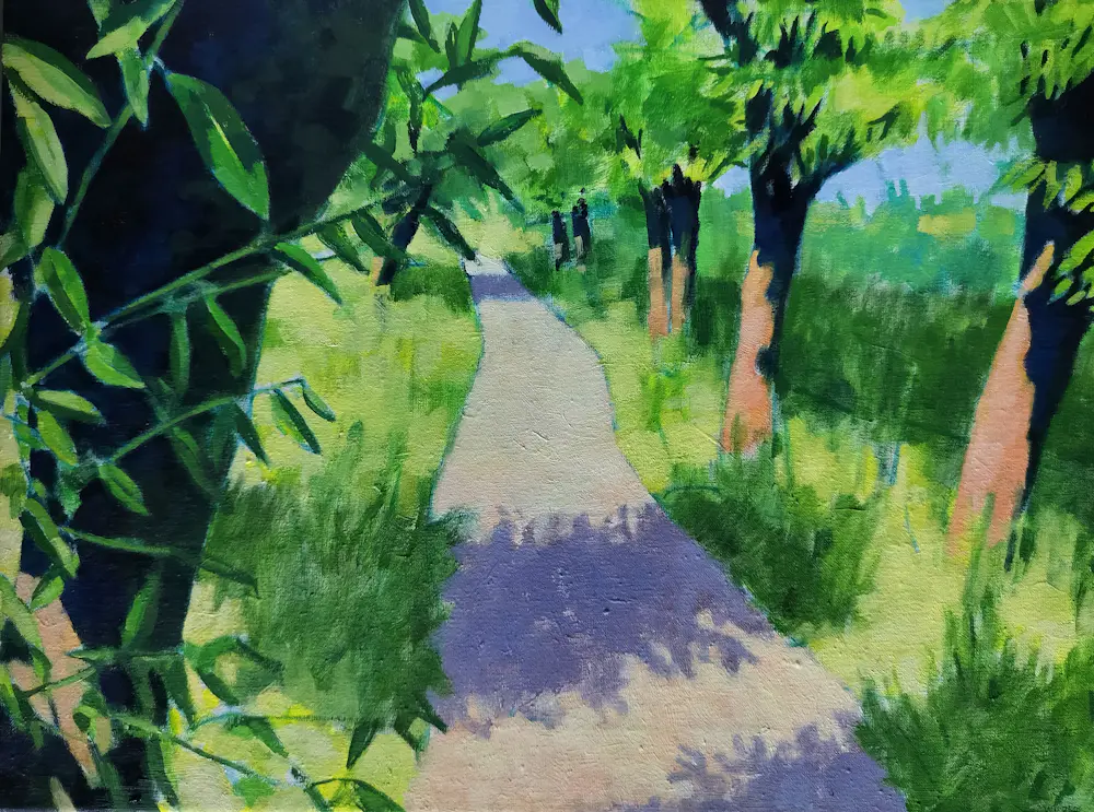 Willem Visser (1956)