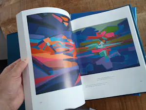 Ido Vunderink - - 2 monumentale prachtige grote hardcovers kopen? Bied vanaf 45!