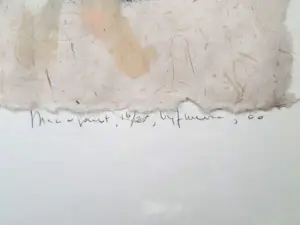 Marijke Vijfhuizen - set van 3x monotype - INGELIJST - 25678 kopen? Bied vanaf 75!