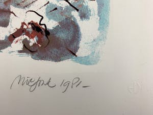 Nic Jonk - kleurenzeefdruk - 'Gebogen naakt' - 1981 kopen? Bied vanaf 129!