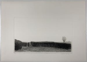 Charles Donker - ets - 'Meidoornhaag' - 1974 kopen? Bied vanaf 240!