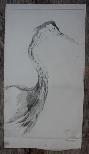 Frederika Broeksmit - Ets - reiger kopen? Bied vanaf 45!