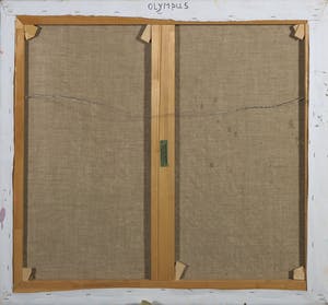 Pieter Haan - Olympus, Acryl op doek kopen? Bied vanaf 1!