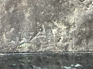 Eric Claus - De krantenlezers kopen? Bied vanaf 360!