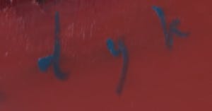 Martin van Dijk - Olieverf op doek, Verliefd landschap - Ingelijst (Groot) kopen? Bied vanaf 450!