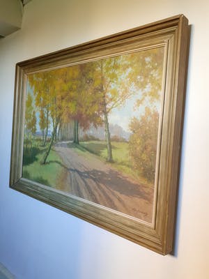 Jan Harm Oostendorp - Weg met bomen kopen? Bied vanaf 100!