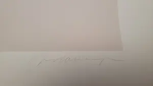 Mel Ramos - Dunkin Donuts (Cindy Crawford) - Zeer groot! kopen? Bied vanaf 2500!