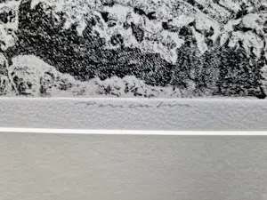 Han van Hagen - Fraai gedetailleerde droge naald Ets "Paricutin-vulkaan Mexico" gesigneerd kopen? Bied vanaf 48!